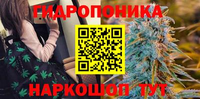 стаф Кандалакша
