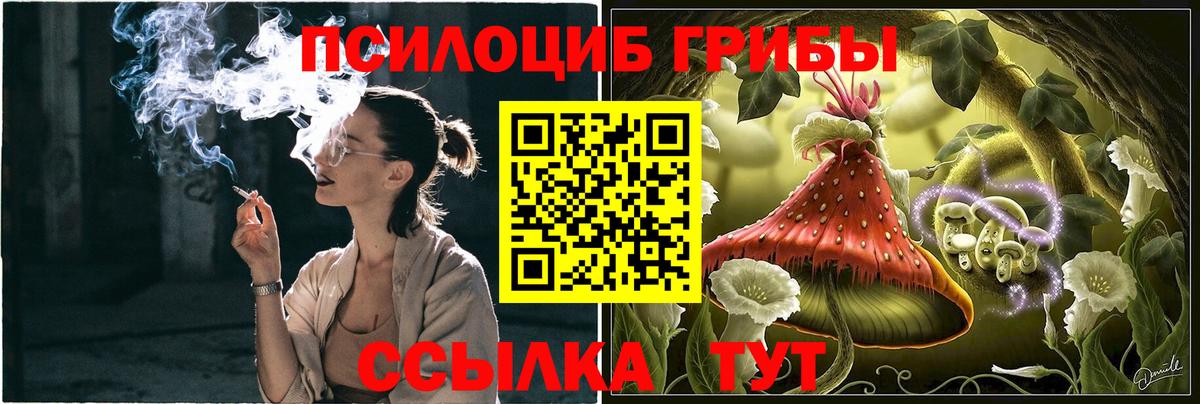 Кубинка  Галлюциногенные грибы Cubensis  Псилоцибиновые грибы мицелий  Вход с VPN 